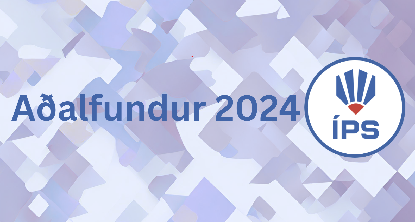 Framtíð Stjórnar og Aðalfundargerð 2024
